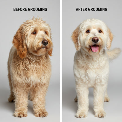 Premium Pet Hair Remover Spray Comb – Dog & Cat Grooming Brush