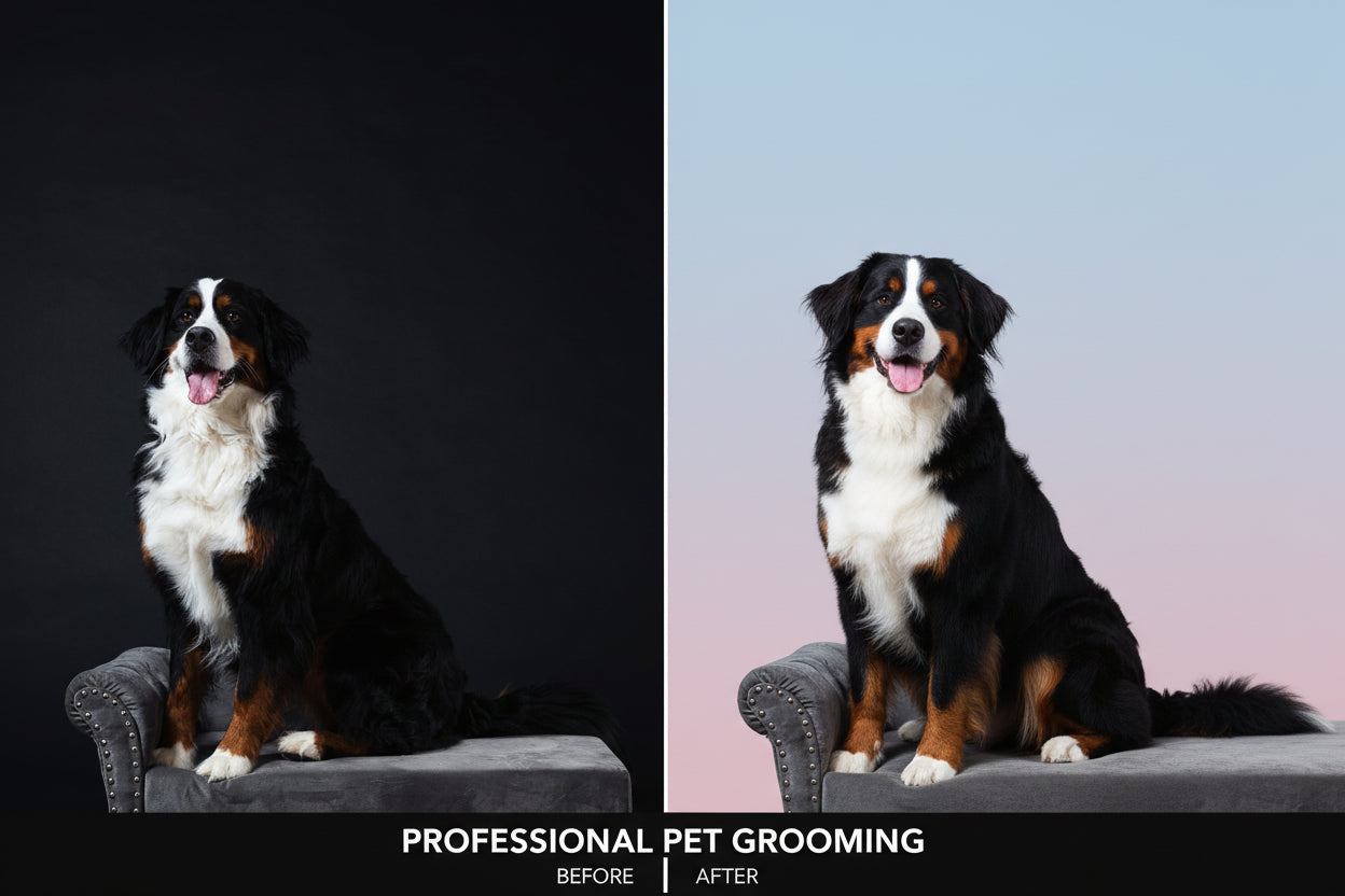 Premium Pet Hair Remover Spray Comb – Dog & Cat Grooming Brush